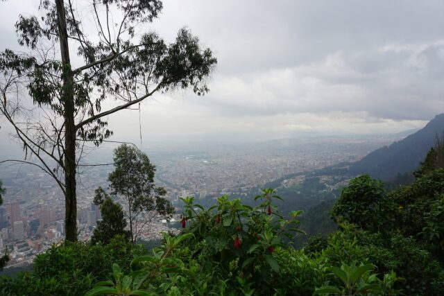 Galleria Colombia - foto 1