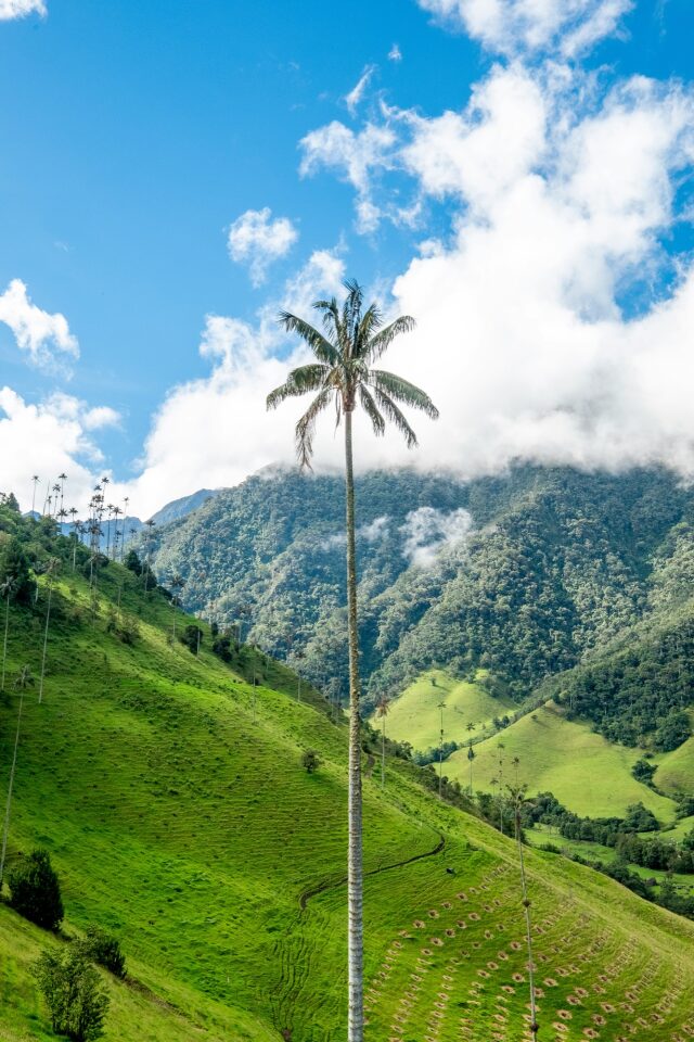 Viaggio in Colombia con Gila Travel Specialist
