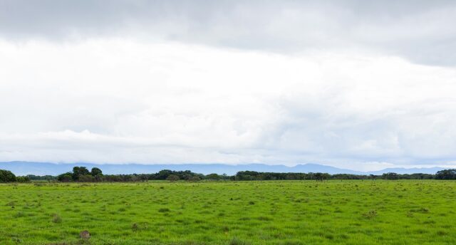 Llanos e safari naturalistici - esperienza di viaggio