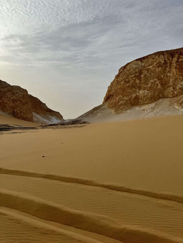 Galleria Egitto - foto 3