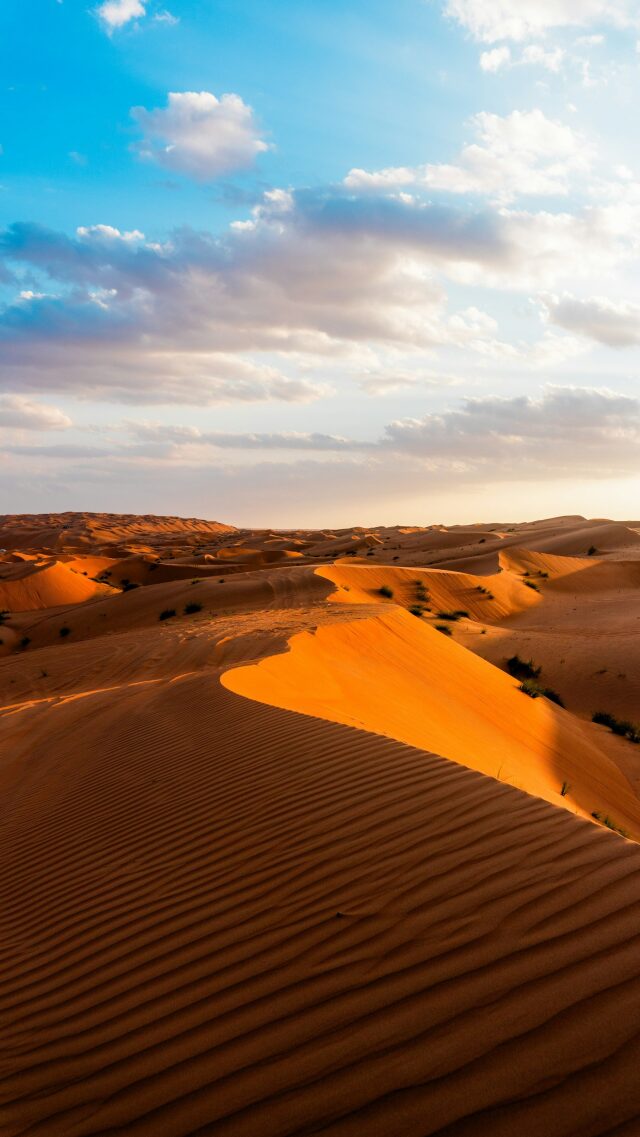 Galleria Oman - foto 4