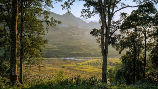 Galleria Vietnam - foto 5